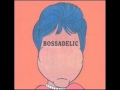 Boredoms - Boredomer in Boretribe