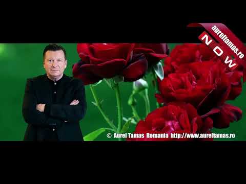 Aurel Tămaș - Eu Plangeam si Tu Radeai