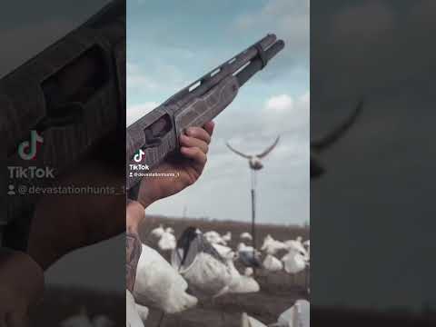 Brownells - Federal Black Cloud Family of ammunition