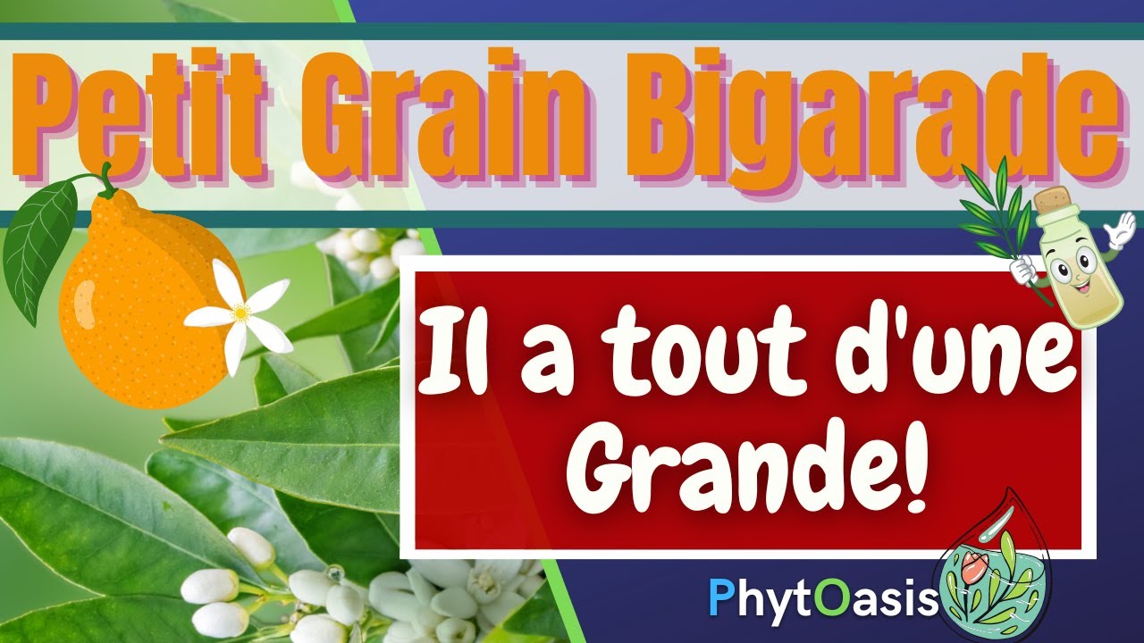 L 'huile essentielle de Petit Grain Bigarade, un véritable couteau suisse!