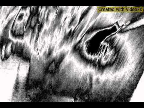 Rocky Lee ft. Doobie D - Fuck Off