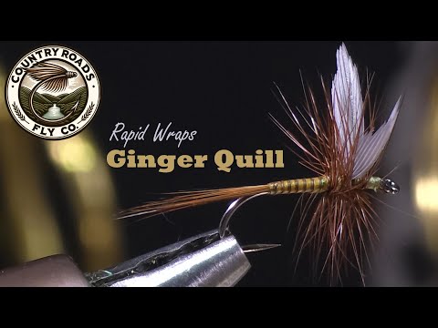 Ginger Quill