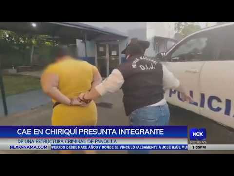 Cae en Chiriquí presunta integrante de una estructura criminal de pandilla