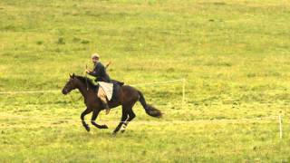 preview picture of video 'Horseback archery competition in Grunwald - polish track'