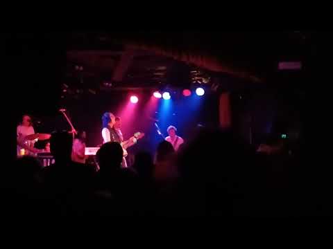 Todd Rundgren Live Melbourne 2024 - Lysistrata