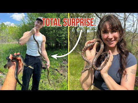 This Was NOT The Snake I Was Expecting To See !!!