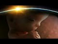 Adiemus Karl Jenkins Jody K Jenkins A Human Life