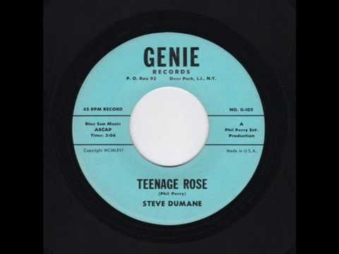 WHITE DOO WOP 45's - Steve Dumane & Group