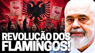 REVOLUÇÃO DOS FLAMINGOS! Albânia em convulsão social causada pela família Trump? Entenda protestos!