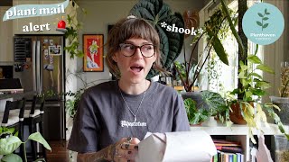 another planthaven toronto unboxing that has me SHOOK 🌿