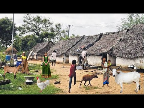 The most beautiful village life in India | Peaceful village life in India | Beautiful village life