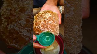 Download lagu Honey😘😘😘 #honey #food #nature #youtubeshorts mp3 Download lagu Honey😘😘😘 #honey #food #nature #youtubeshorts mp3