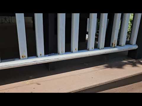 Restaurant Under Attack by Carpenter Bees in Spring Lake, NJ