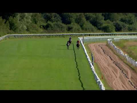 Lopp 2 16 Augusti 2020 Göteborg Galopp