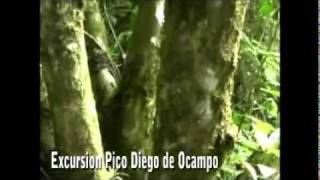preview picture of video 'Excursion al Pico Diego de Ocampo, Grupo Scout 8, Moca'