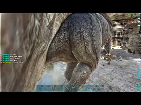 Arkeologists Co9 Meat Run Norseman 543