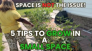 You Can Garden Anywhere| Gardening in a Small Space