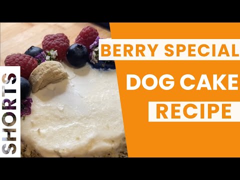 I make a delicious dog Birthday cake (step-by-step) 🎂🐶