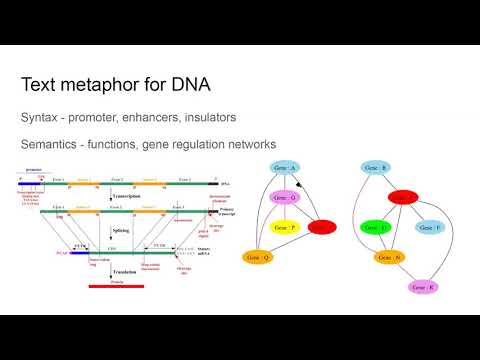 Biotechnology. Lectures 1-2. Basic genetic engineering