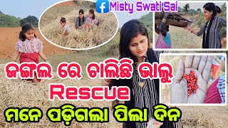 ଜଙ୍ଗଲ ରେ ଚାଲିଛି ଭାଲୁ Rescue/ମନେ ପଡ଼ିଗଲା ପିଲା ଦିନ//Misty Swati Sai Odia Vlogs Video 🙏♥️🙏🧿