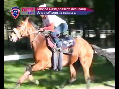 FLOREAL NEWS - RACE MEETING 06 (29.04.2016)