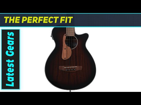 Ibanez AEGB24E: The Ultimate Acoustic Bass?