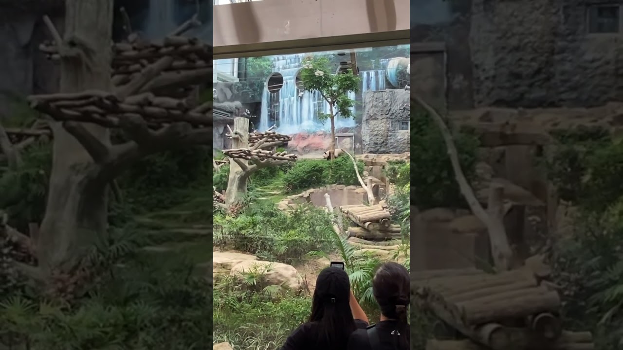 YouTube Short thumbnail