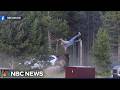 Man Hospitalized After Bison Charge Sends Him Flying At Yellowstone
