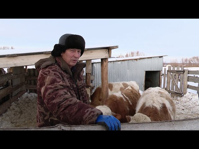 Киямовы из Кривого Озера построили мини-ферму благодаря возможностям республиканской программы