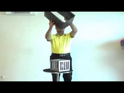 Amazing Cages from Frame by Tora Magic - www.MJMMagic.com