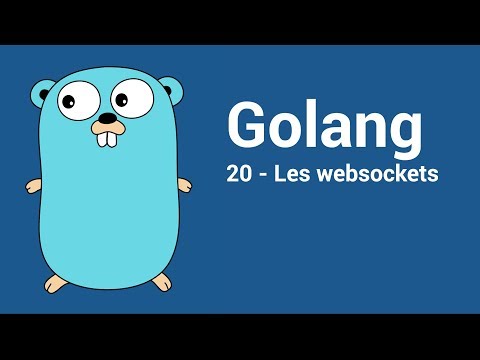 [Go/Golang] 20 - Les Websockets
