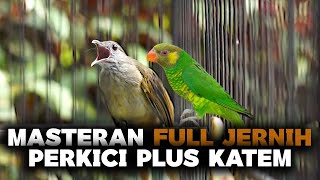 Download lagu Masteran Perkici dan Kapas Tembak Suara Jernih Full Mp3 mp3 Download lagu Masteran Perkici dan Kapas Tembak Suara Jernih Full Mp3 mp3
