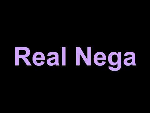 JPEGMAFIA - Real Nega (Lyrics)