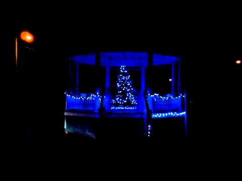 Petersham Tree Lighting