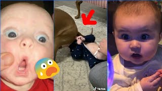 Try Not To Laugh Challenge  Funny Kids Fails TikTo