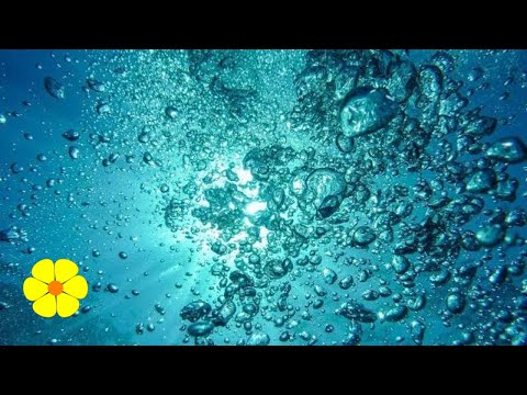 image-What are bubbles in the ocean?