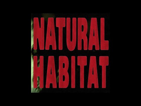 Natural Habitat (ft Ken Carson)