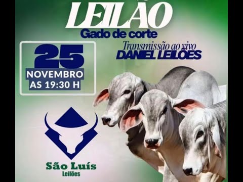 São luis de montes belos  - GO  25/11/2025