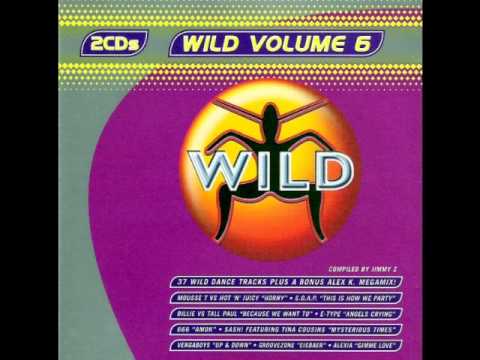 WILD FM VOLUME 6 - WILD VOLUME 6 MEGAMIX (ALEX K)
