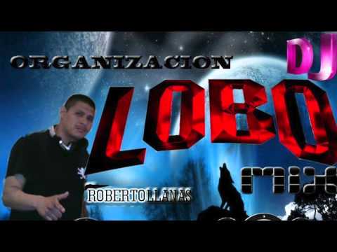 SALSA MIX DJ LOBO EL ORIGINAL