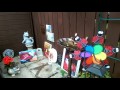 Pippa Man Utd Cat Ladybird Windmill At Memory Garden