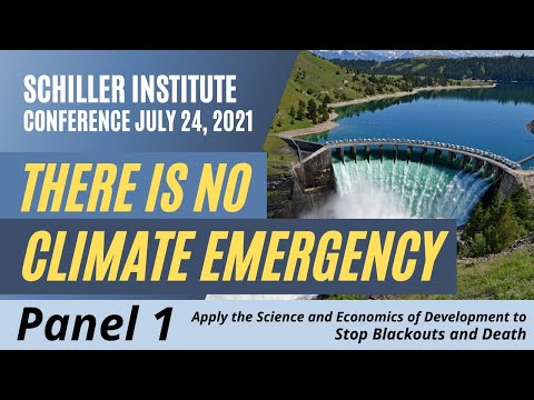 Panel 1: The Economic Effects of Green MAD — Mutually Assured Destruction