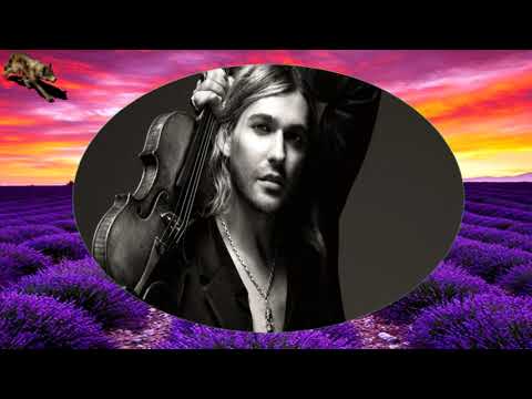 DRAGAN STOJNIC-MAESTRO I VIOLINA (TEKST)