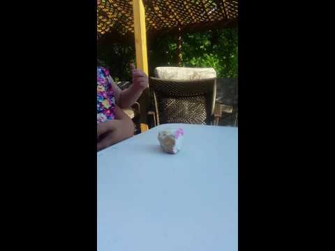 Keera hates 1st bday cake at Uncle Ryans.