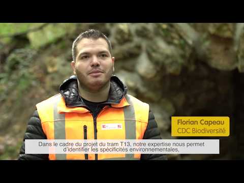 Tram T13 : Tout savoir sur les compensations écologiques