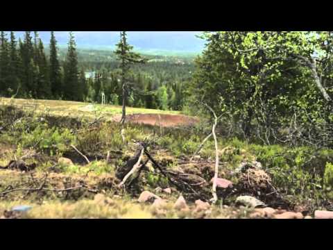 Ridestore JOS Lindvallen @ Summer