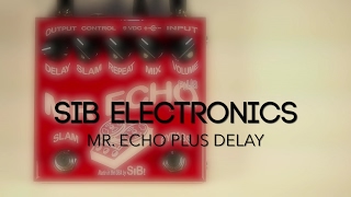 SiB Electronics Mr. Echo Plus Delay Guitar Effects Pedal Demo