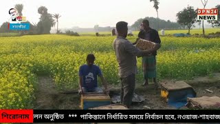 সাতক্ষীরা জেলার সরিষা ফুলের মধু