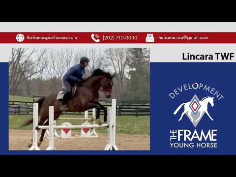 Lillet video 3