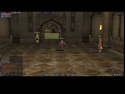 Lineage II: The Chaotic Chronicle 3: Rise of Darkness Firebird x1